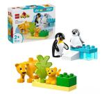 FAMIGLIE DI ANIMALI: PINGUINI E LEONI
