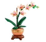 MINI-ORCHIDEA