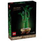 BAMBU' DEL BUON AUSPICIO