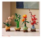 BAMBU' DEL BUON AUSPICIO