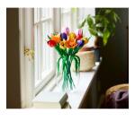 Bouquet di tulipani