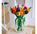 Bouquet di tulipani