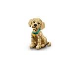 CUCCIOLO DI GOLDEN RETRIEVER