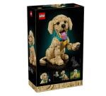 CUCCIOLO DI GOLDEN RETRIEVER