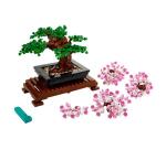 Albero Bonsai