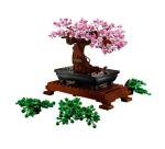 Albero Bonsai