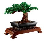 Albero Bonsai