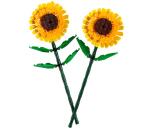 GIRASOLI