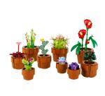 PIANTINE LEGO  ICONS