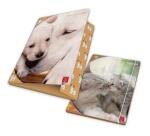 CF6 CARTELLA 3 LEMBI DOLCI CUCCIOLI DORSO 1 2