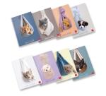 CF10 QUADERNI DOLCI CUCCIOLI A4 80GR RIGATURA 1 RIGO FF. 20+R 8 FANTASIE ASSORTITE