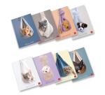 CF10 QUADERNI DOLCI CUCCIOLI A4 80GR RIGATURA 10 FF. 20+R 8 FANTASIE ASSORTITE