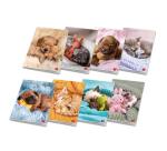 Quaderno Maxi Dolci Cuccioli A4 80gr  42 fogli in colori assortiti  rigatura 10  confezione 10 pezzi