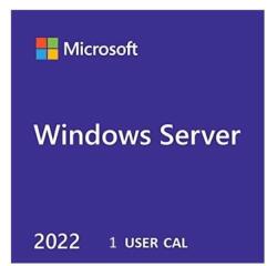 HPE Microsoft Windows Server 2022 1 User CAL en/cs/de/es/fr/it/nl/pl/pt/ru/sv/ko/ja/xc LTU