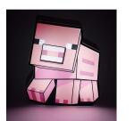 PIG 2D LIGHT