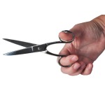 Desq schaar 15 cm, verchroomd, symmetrische ogen