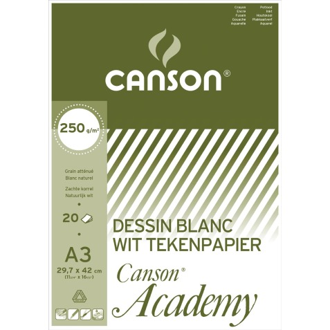 Canson papier à dessin Academy, 250 g, ft 29,7 x 42 cm, A3, bloc de 20 feuilles
