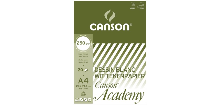 Canson papier à dessin Academy, 250 g, ft 21 x 29,7 cm, A4, bloc de 20 feuilles
