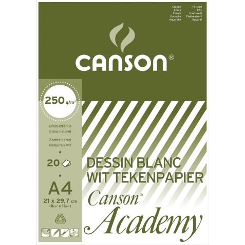 Canson papier à dessin Academy, 250 g, ft 21 x 29,7 cm, A4, bloc de 20 feuilles