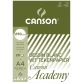 Canson papier à dessin Academy, 250 g, ft 21 x 29,7 cm, A4, bloc de 20 feuilles