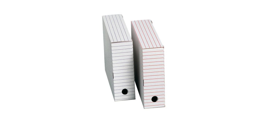 Archivbox, Format 31 x 24,5 x 8,5 cm (B x H x T), Set aus 2 Boxen