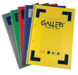 Gallery Traditional spiraalschrift ft A4, gelijnd, geassorteerde kleuren, 160 bladzijden