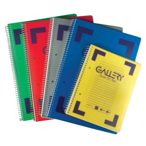 Gallery Traditional spiraalschrift ft A5, geruit 5 mm, geassorteerde kleuren, 160 bladzijden