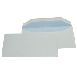 EN_ENV BLC 114X229 GOM SF 80 500X