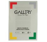 Gallery Bristol papier à dessin, 200 g, ft 21 x 29,7 cm , A4, bloc de 20 feuilles