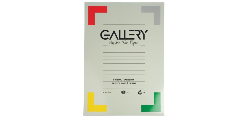 Gallery Bristol papier à dessin, 200 g, ft 29,7 x 42 cm, A3, bloc de 20 feuilles