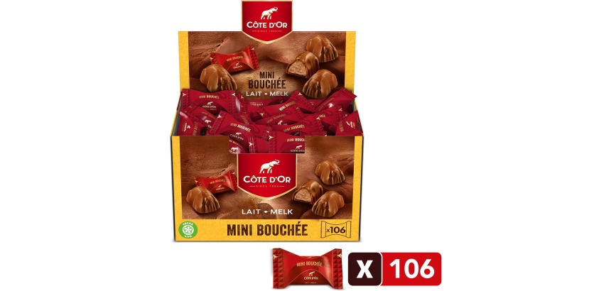 Côte d'Or mini Bouchée, milk chocolate with praline, box of 106 pieces