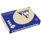 Clairefontaine Trophée Pastel, papier couleur, A4, 160 g, 250 feuilles, chamois