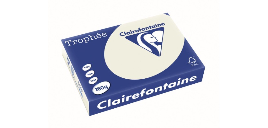 Clairefontaine Trophée Pastel, papier couleur, A4, 160 g, 250 feuilles, gris perle