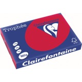 EN_TROPHEE GROSEILLE A3 160GR 250