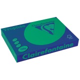 Clairefontaine Trophée Intens, papier couleur, A3, 160 g, 250 feuilles, vert sapin