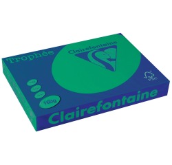 Clairefontaine Trophée Intens, gekleurd papier, A3, 160 g, 250 vel, dennengroen