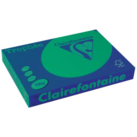 Clairefontaine Trophée Intens, papier couleur, A3, 160 g, 250 feuilles, vert sapin