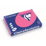 De_trophee fuchsia a3 160gr 250f