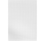 Herlitz Notizblock, A5, 70 g/m², 100 Blatt, 5 mm kariert