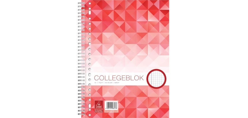 Work bloc de cours Collège, ft A4, quadrillé, 80 pages, 23 trous