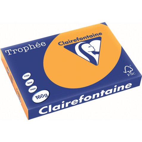 Clairefontaine Trophée Pastel, papier couleur, A3, 160 g, 250 feuilles, clémentine