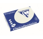 Clairefontaine Trophée Pastel, papier couleur, A3, 160 g, 250 feuilles, gris perle