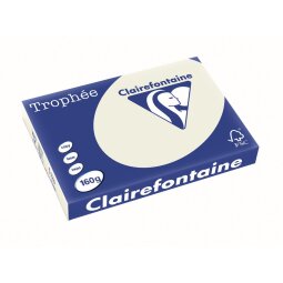 Clairefontaine Trophée Pastel, gekleurd papier, A3, 160 g, 250 vel, parelgrijs