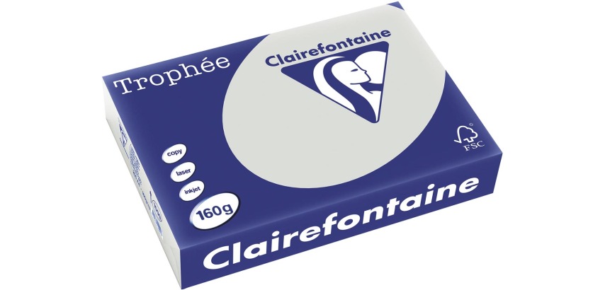 Clairefontaine Trophée Pastel, papier couleur, A4, 160 g, 250 feuilles, gris clair