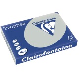 Clairefontaine Trophée Pastel, papier couleur, A3, 160 g, 250 feuilles, gris clair