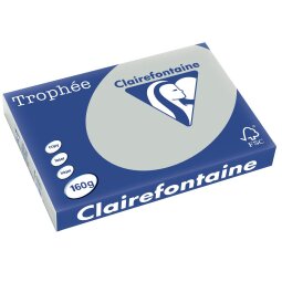 Clairefontaine Trophée Pastel, papier couleur, A3, 160 g, 250 feuilles, gris clair