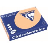 EN_TROPHEE ABRICOT A4 160GR 250F