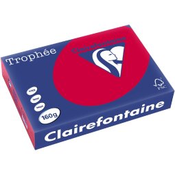 Clairefontaine Trophée Intens, gekleurd papier, A4, 160 g, 250 vel, aalbes