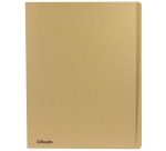 Chemise rigide à bord décalé 300 g Esselte - Paquet de 100