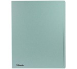 Chemise rigide à bord décalé 300 g Esselte - Paquet de 100